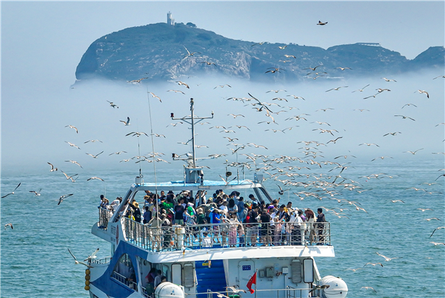 海驴岛环岛游旅游船让游客尽享浪漫旅途。
