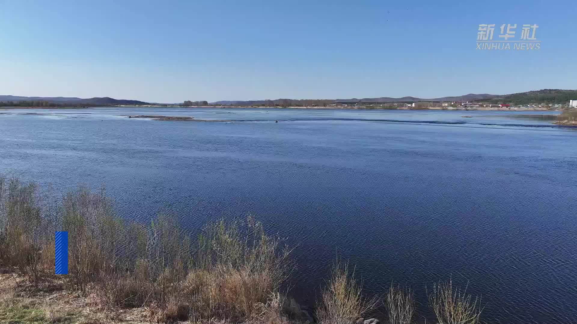 黑龙江大兴安岭：红嘴鸥北归绘美景