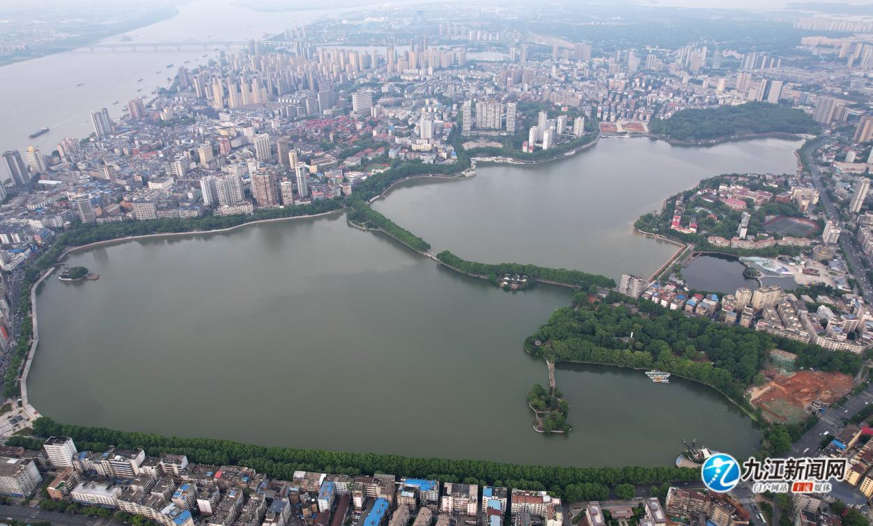 九江:初夏时节"两湖"美如画(图)