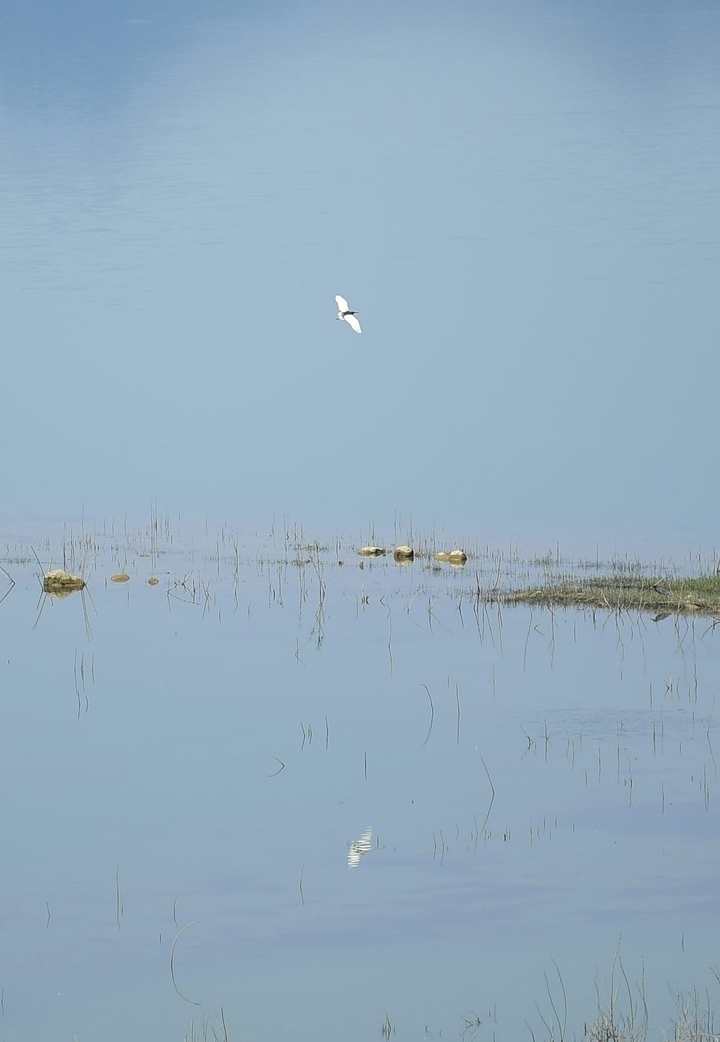 天朗气清，初夏卧虎山水库呈现“天空之镜”美色