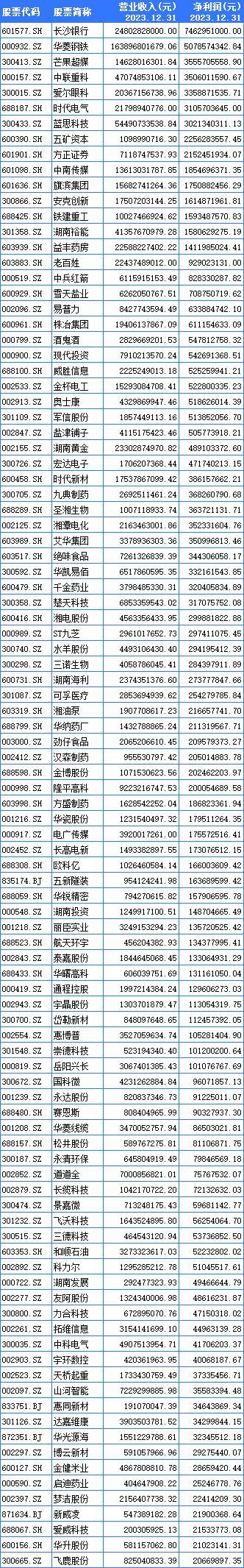 △ 2023 年度湘股净利润前 100 名单