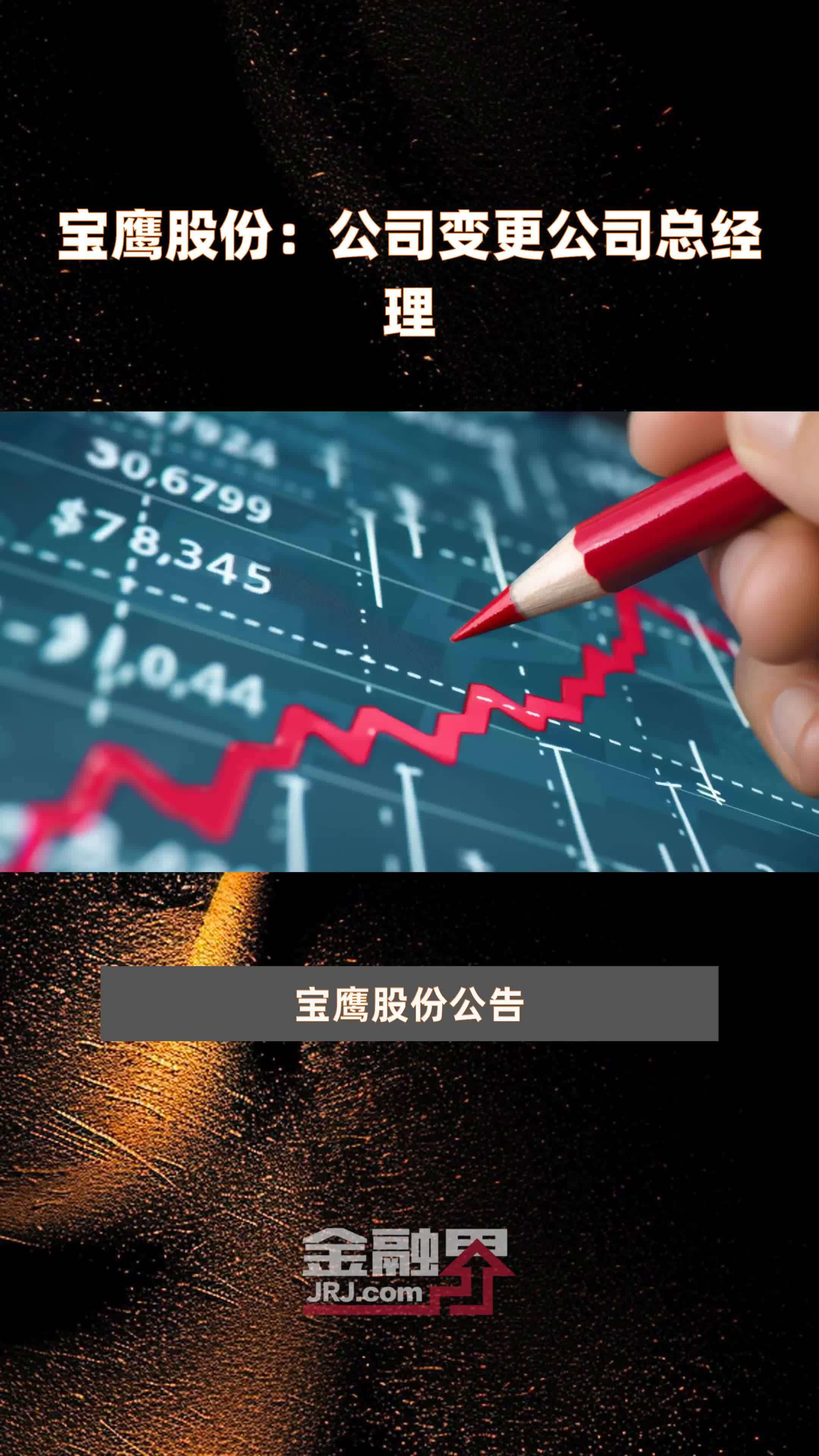 宝鹰股份公司变更公司总经理快报