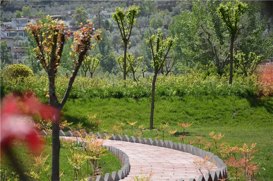 陇南这条研学旅游线路 等你“趣”玩