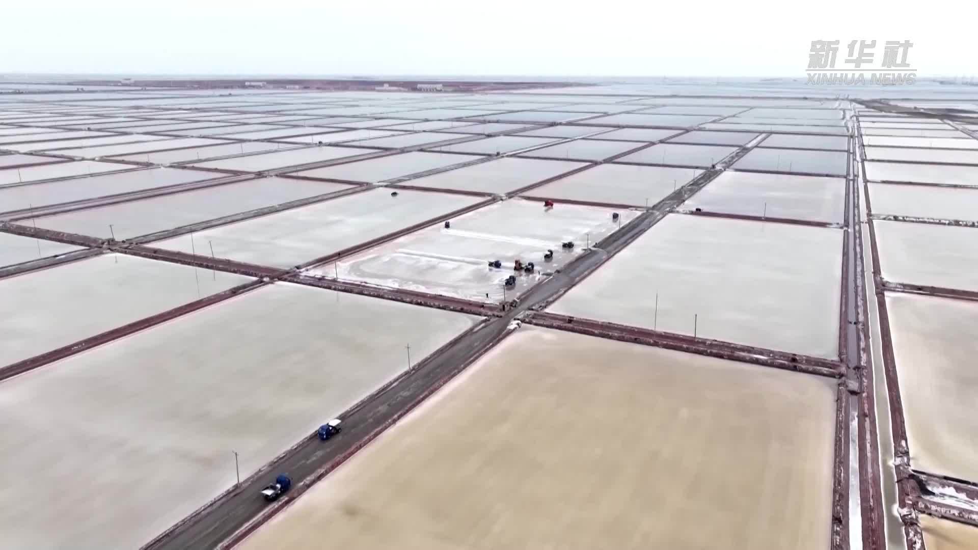 滨州无棣：40万亩盐田迎丰收_凤凰网视频_凤凰网