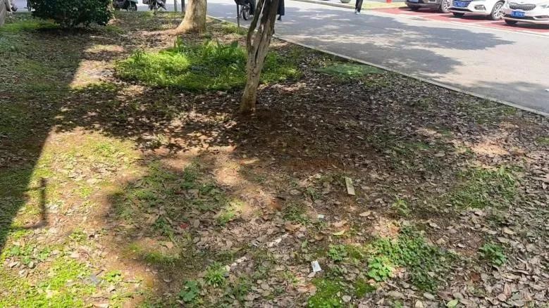 督查通报！鹰潭海绵城市项目建设存在这些问题