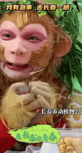 这个五一假期 “雪饼猴”忙坏了