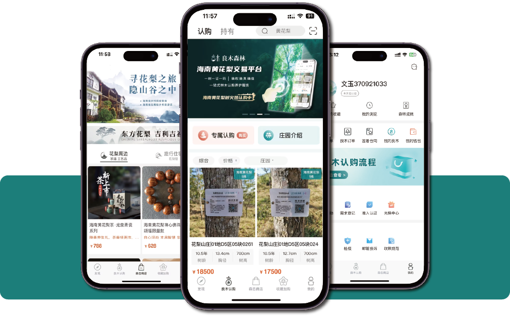 多家种植企业入驻海南黄花梨官方交易平台良木森林 海南珍贵林木产业形成新格局