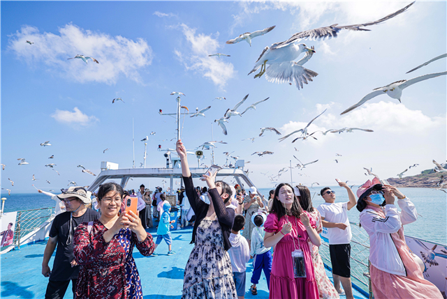 海驴岛环岛游旅游船游客与逐浪飞舞的海鸥嬉戏。