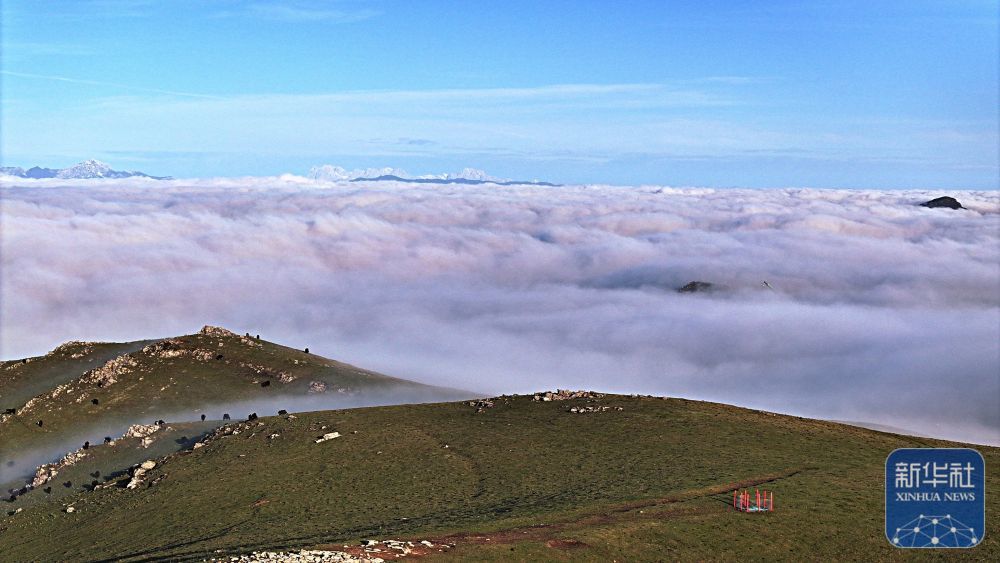 5月10日拍摄的云海景观（无人机照片）