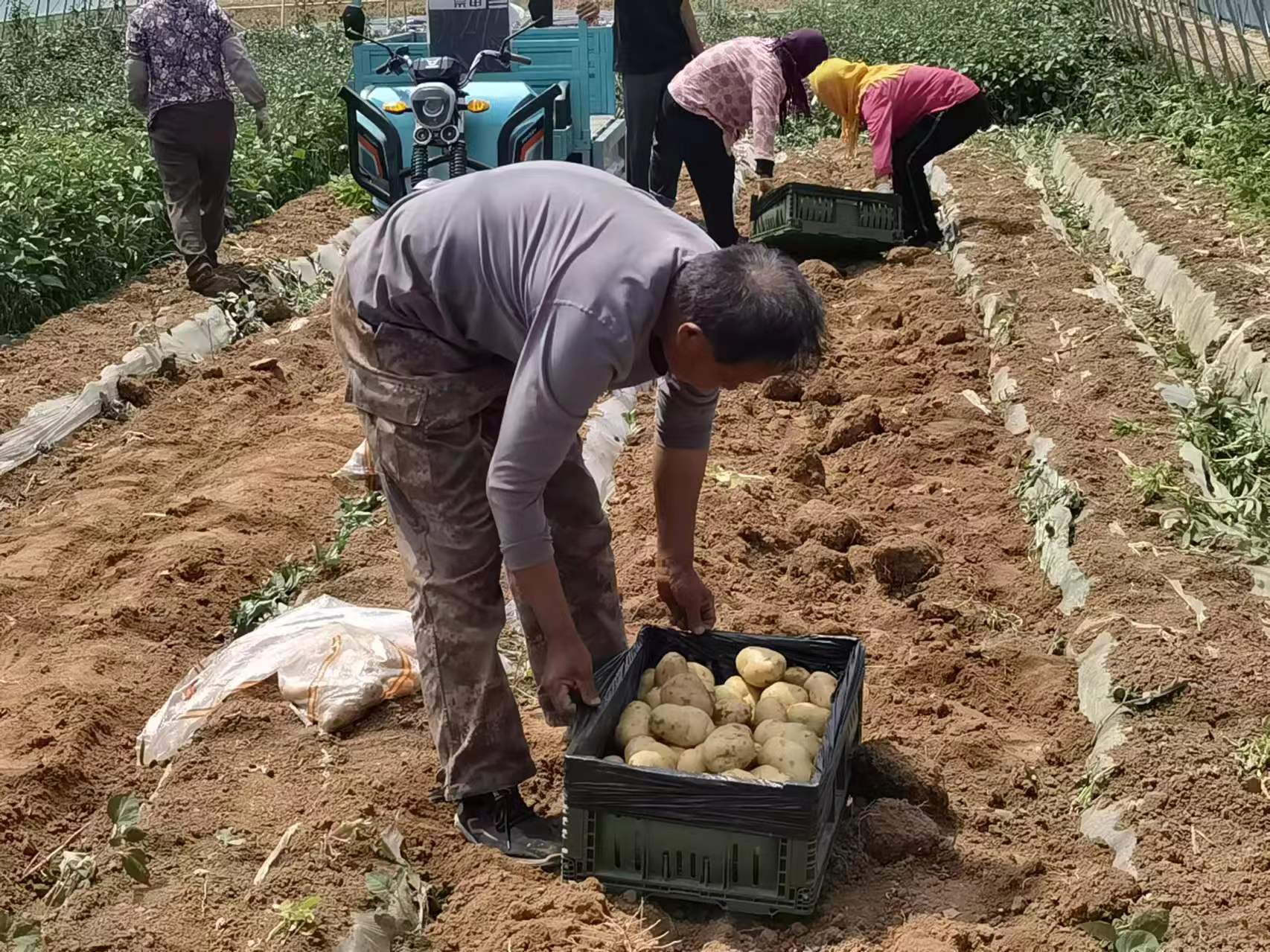 高质量启航&middot;新质生产力涌动——青岛西海岸新区供销社焕发新活力