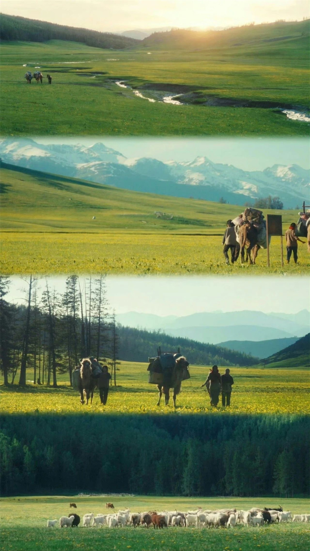 令人向往的实景