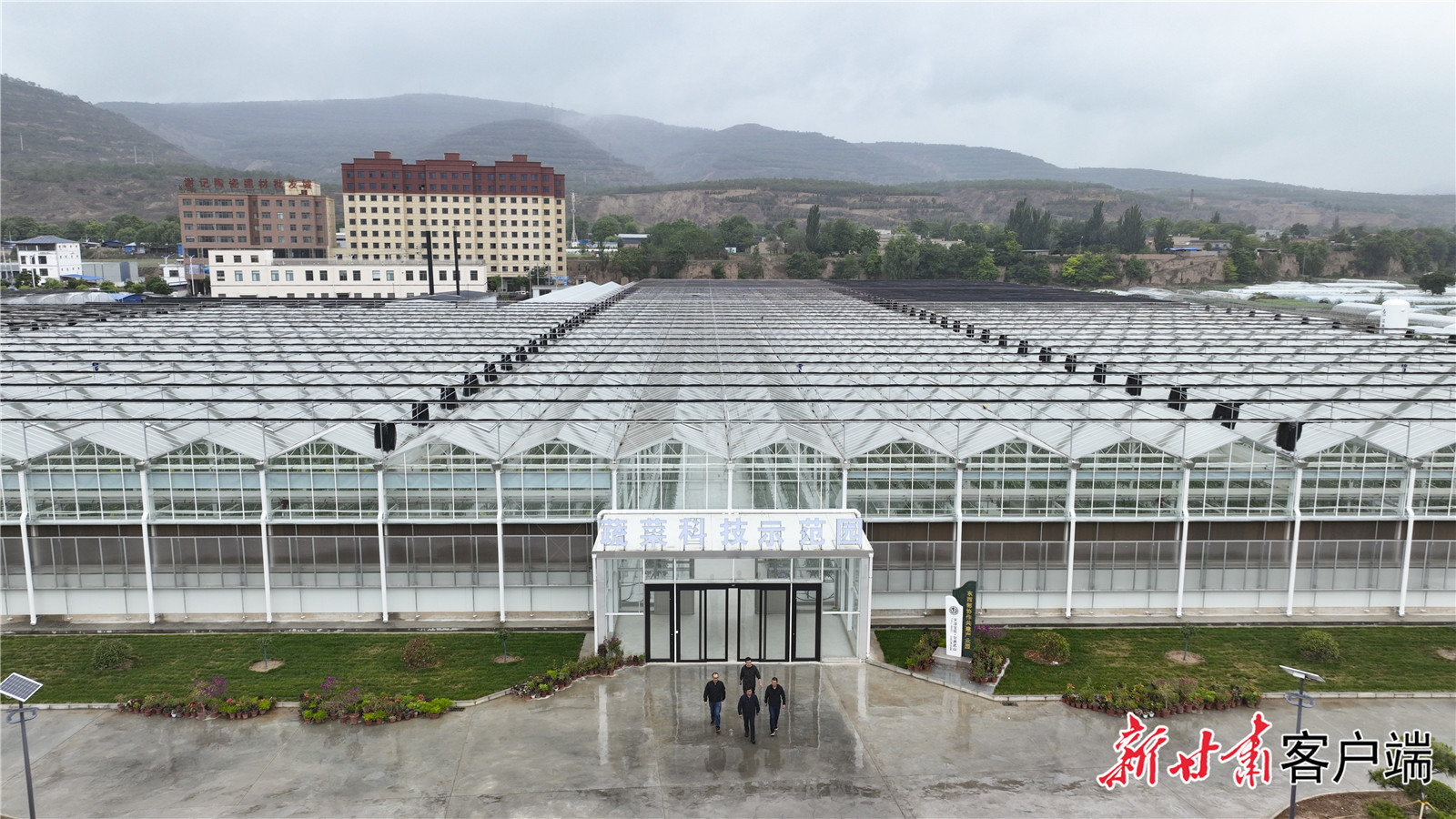 天津市利用东西部协会资金续建武山现代农业产业园二期项目，实现自动化水肥及气候控制，视频监控，建成物联网、包装分拣和保鲜库等项工程，开展温室蔬菜规模化种植。