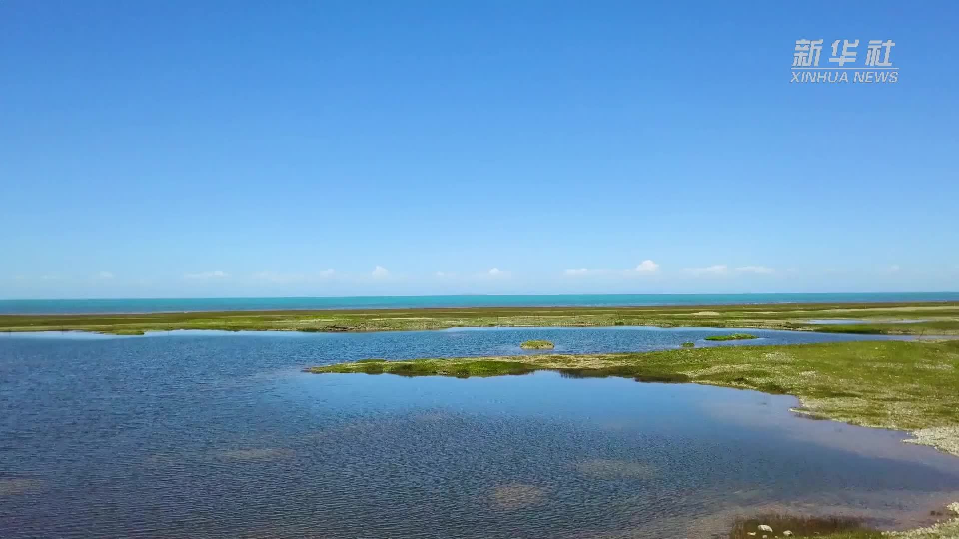 四季旅行｜山东巨野：多彩湿地美如画卷