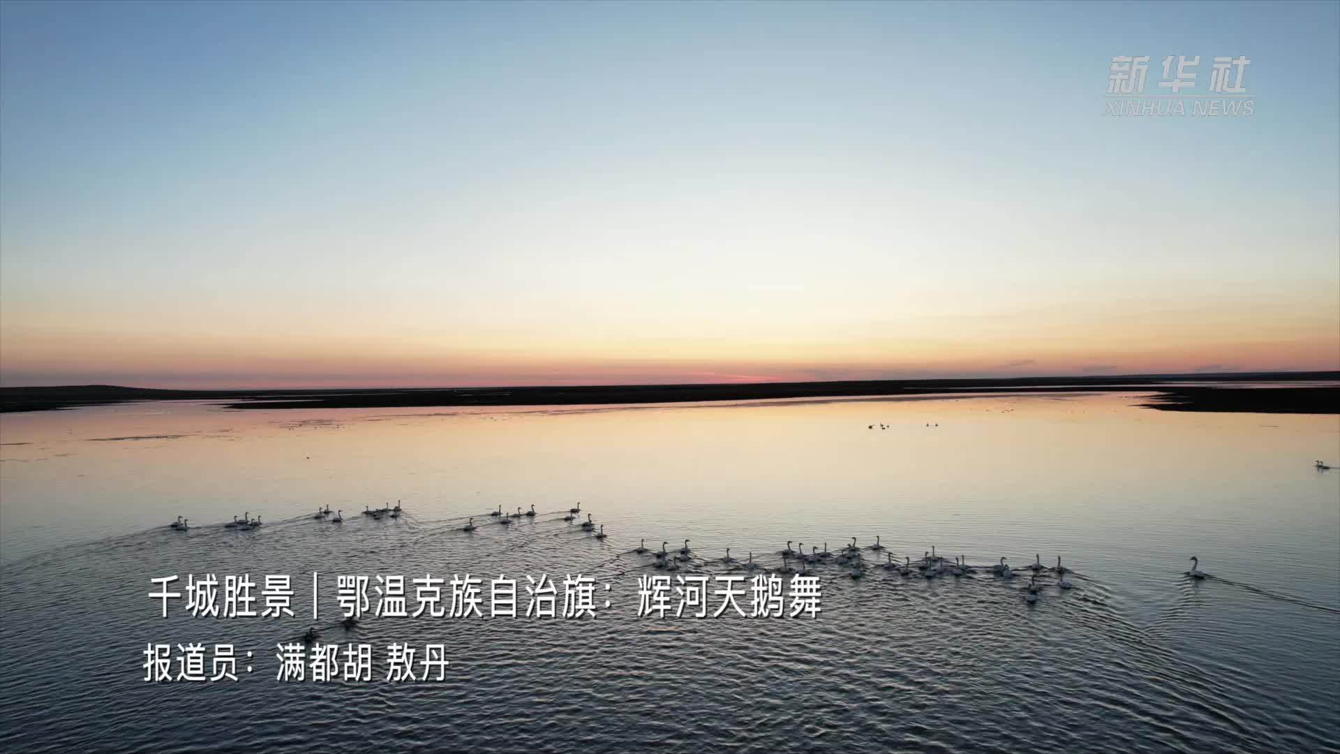 千城胜景｜鄂温克族自治旗：辉河天鹅舞