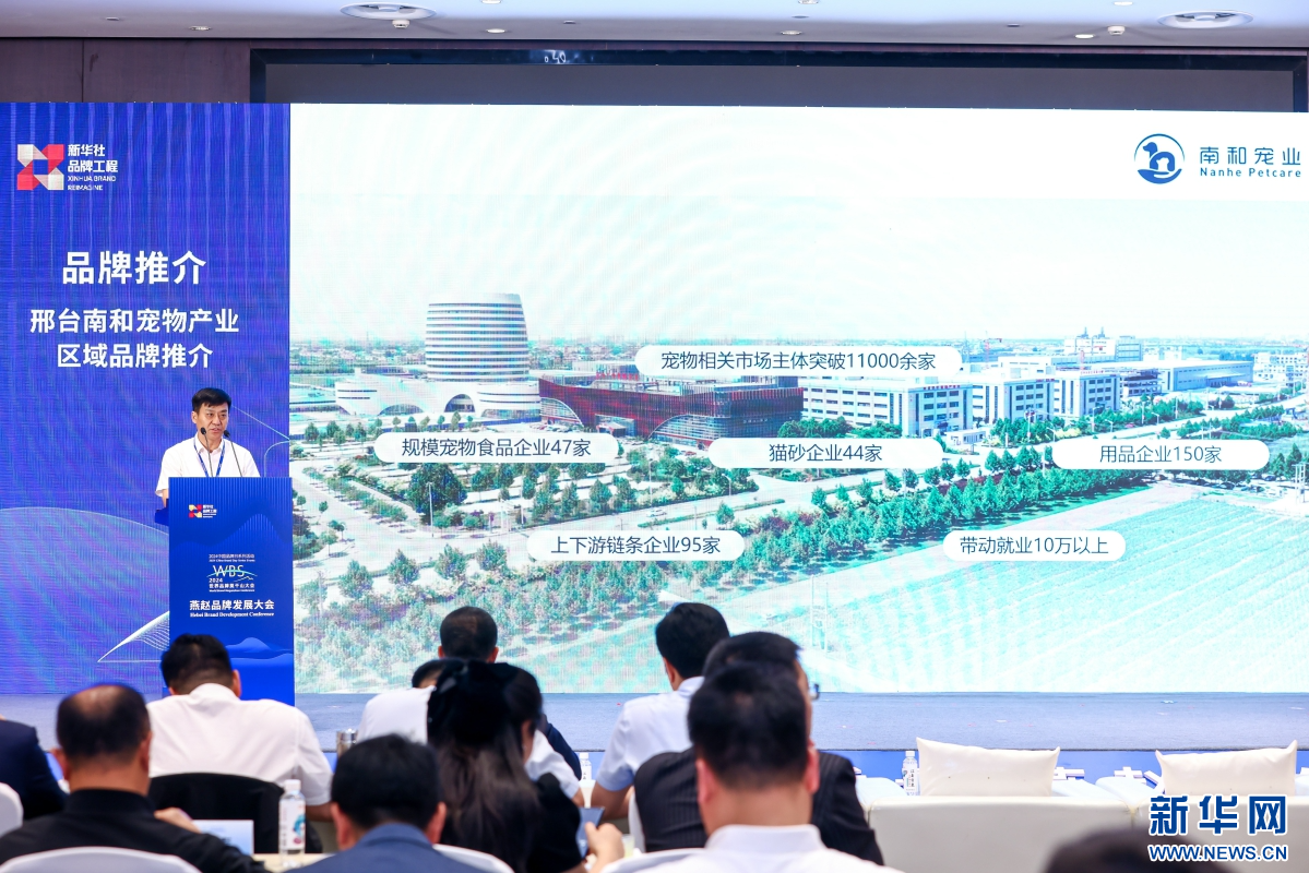 邢台市南和区委常委、常务副区长张军良在大会上作品牌推介。新华网发