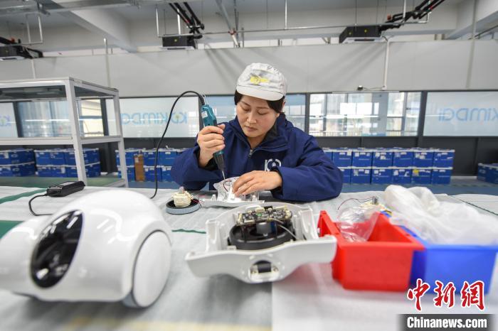 4月2日,在河北省邯郸市邯山区金大智能科技项目产品组装中心,工作人员正在组装智能伴宠机器人。 李燊 摄
