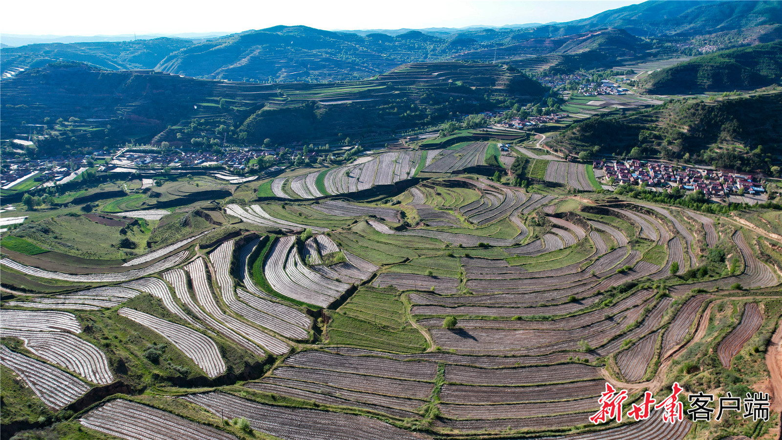 天津市依托东西部协作资金在庄浪关山区域着力打造丹参产业示范园区，解决当地群众就业3600多人。