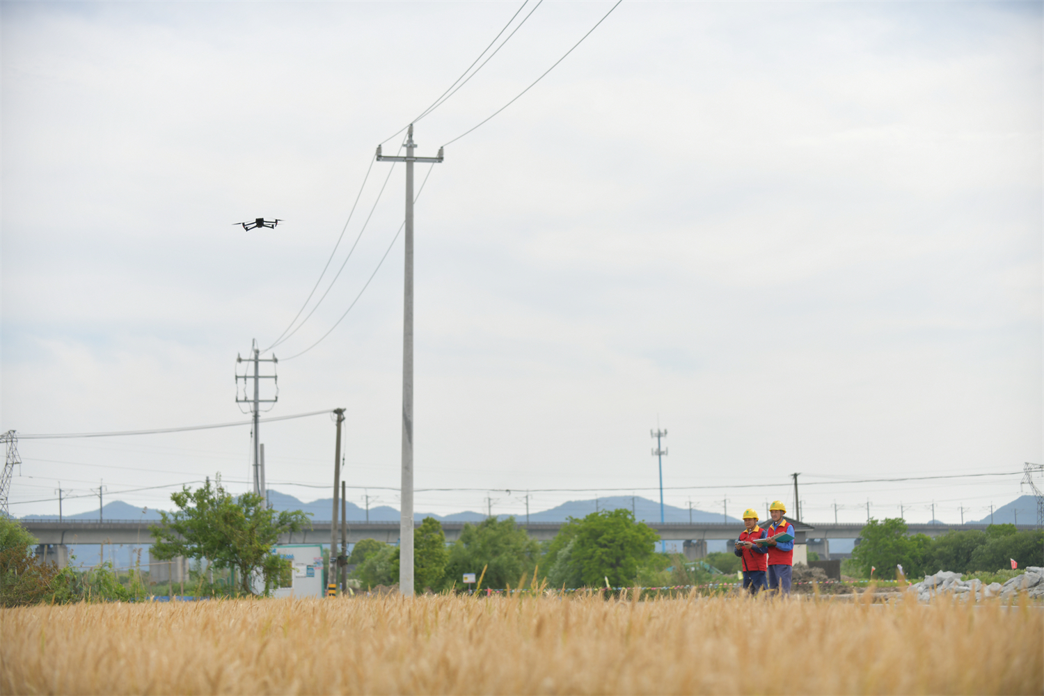 国网余姚市供电公司：保护电力设施 筑牢安全“防护墙”
