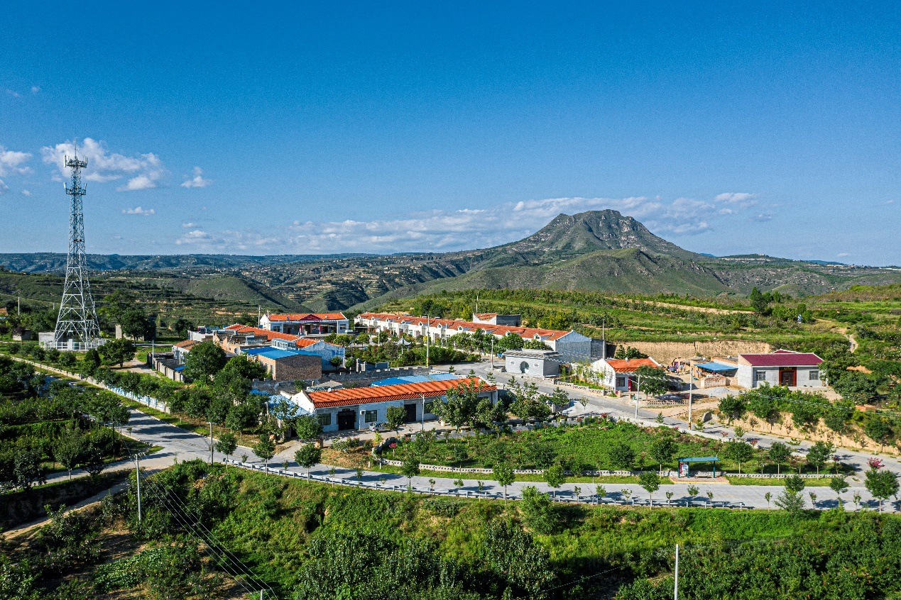 礼泉县"三八红旗手"段阿莉:女支书勇当"领头雁" 扎根山村助振兴