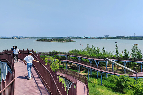 5月3日，游客在衡水湖梅花岛上游玩。