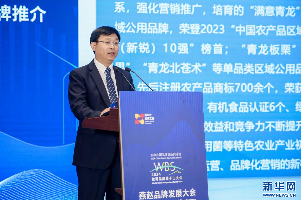 青龙满族自治县委副书记、县长张义金在大会上作品牌推介。新华网发