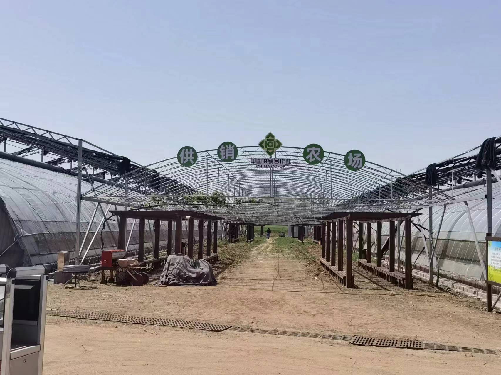 高质量启航&middot;新质生产力涌动——青岛西海岸新区供销社焕发新活力