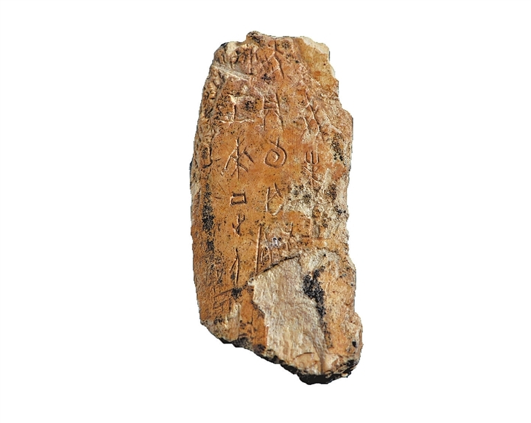 了不起的甲骨文丨跟随甲骨文 赴一场中原博物馆之旅