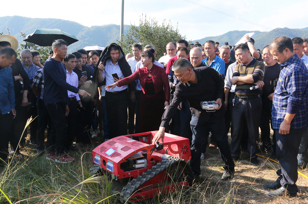 江西油茶产业2025年综合产值将突破1000亿元