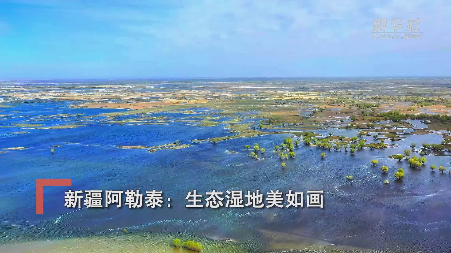 新疆阿勒泰：生态湿地美如画