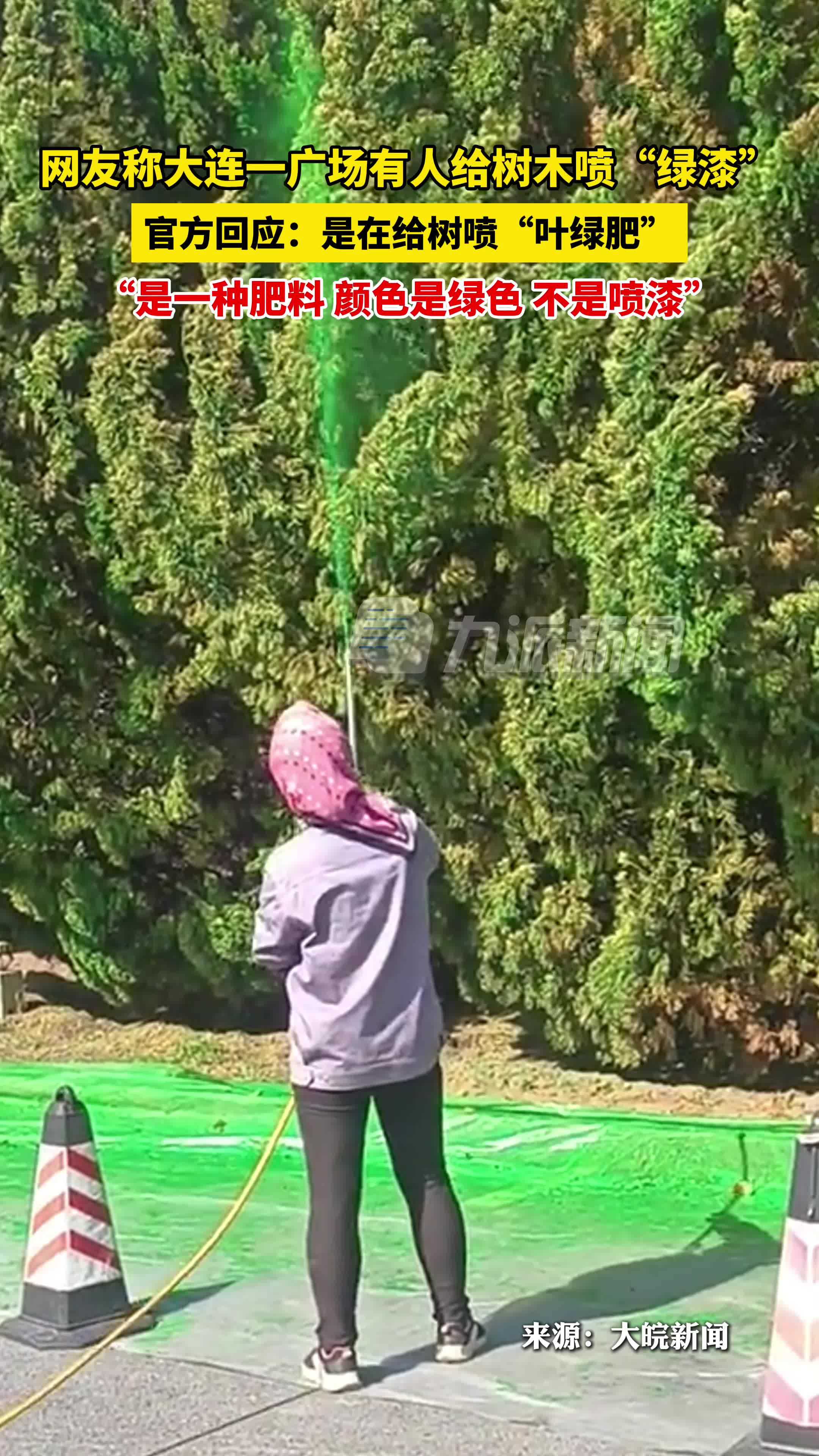 官方回应广场有人给树木喷绿漆：是一种肥料叫叶绿肥，颜色是绿色，不是喷漆