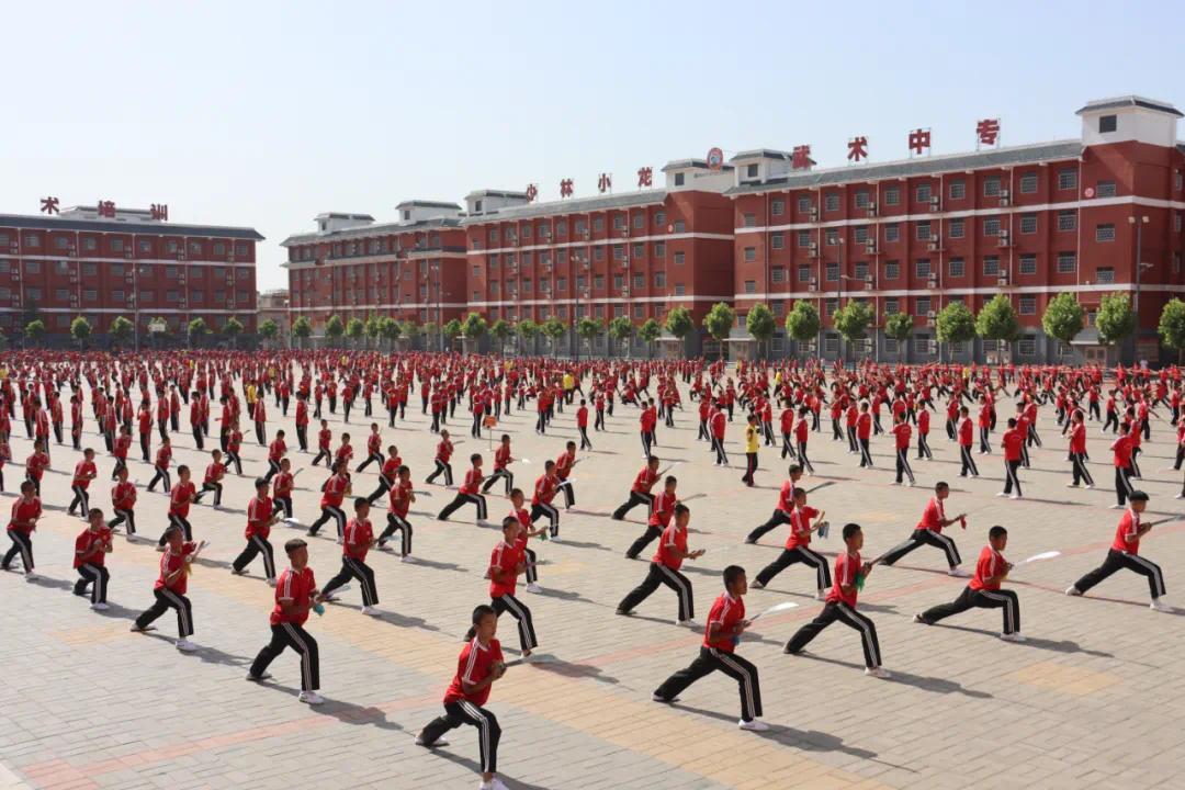 探寻武术的奥秘：现代武术培训新趋势