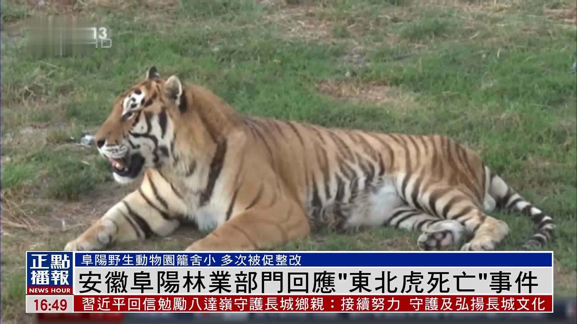 安徽阜阳林业部门回应东北虎死亡事件