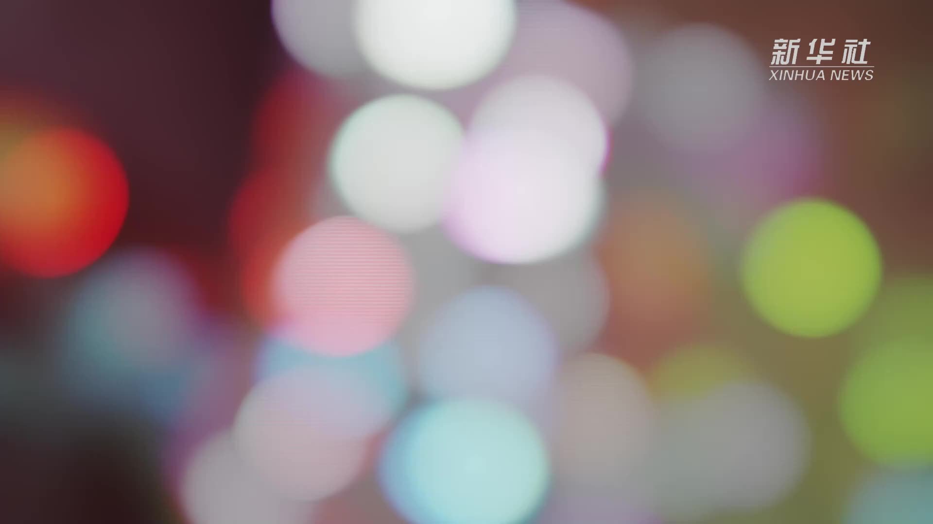 上海甜爱婚姻登记中心火爆出圈！独特设计，见证爱情美好