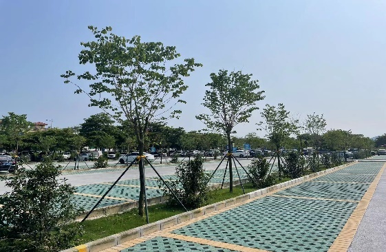 逐"绿"向"美" 大鹏办事处在青山碧海间"落笔起意"