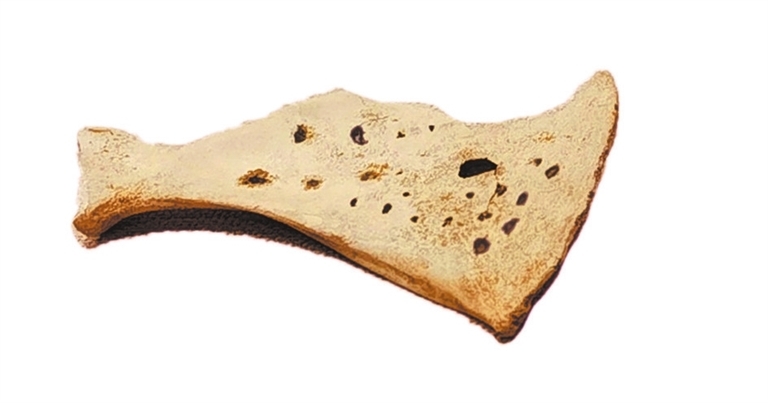 了不起的甲骨文丨跟随甲骨文 赴一场中原博物馆之旅