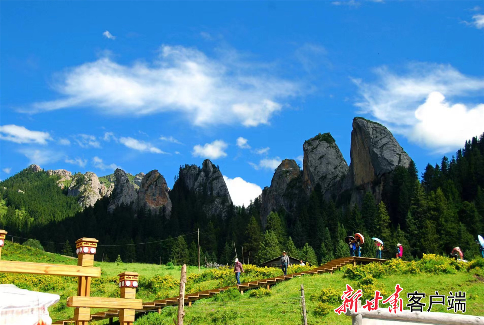 位于甘南州碌曲县的国家4A级则岔石林景区，所有天津籍游客凭有效身份证件可享受免门票优惠。碌曲县文旅局供图