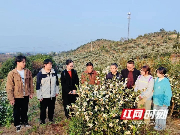 镇头镇驻村工作队邀请国家乡土专家现场为茶农讲解油茶培育方法。