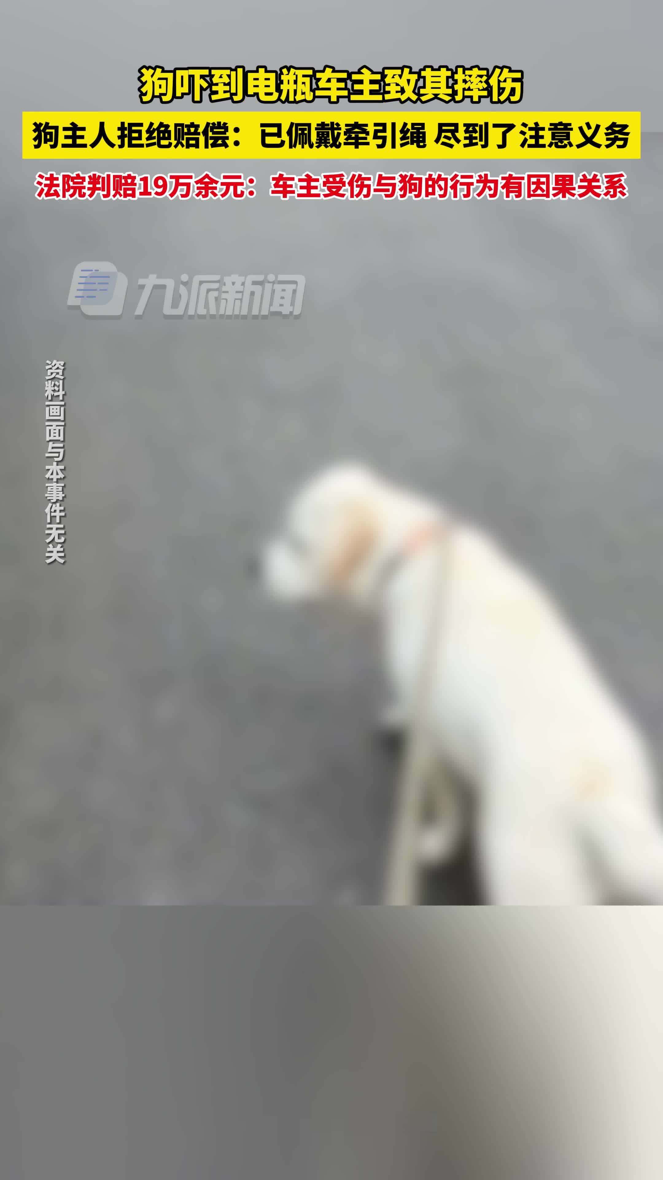 狗吓到电瓶车主致其摔伤,狗主人被判赔19万余元_凤凰网视频_凤凰网