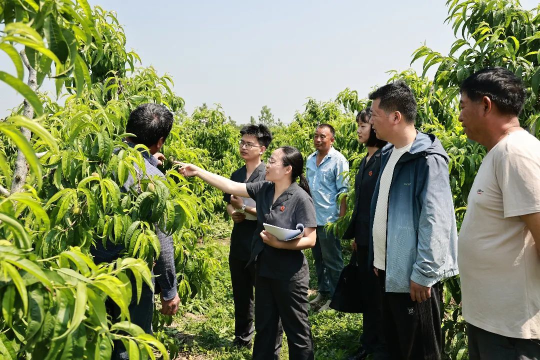 新沂徐召峰案最新动态图片