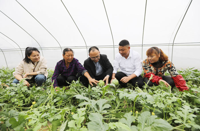 【江西是个好地方】江西东乡:农技帮扶助力农业生产