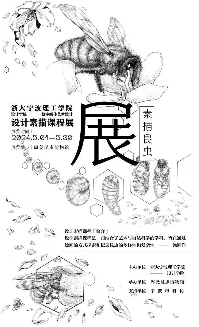 简笔画 手绘 线稿 649_1067 竖版 竖屏