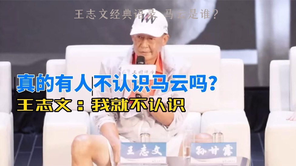马云是谁问得嘉宾观众虎躯一震王志文经典名场面
