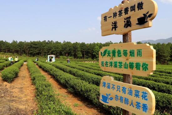 吉安安福县：文旅“小资源”释放发展“大效应”