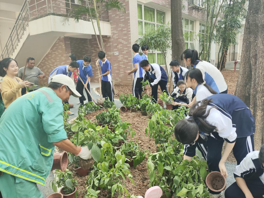 香蜜湖街道联合深圳高级中学打造“紫堡&middot;农梦园”劳动实践基地项目