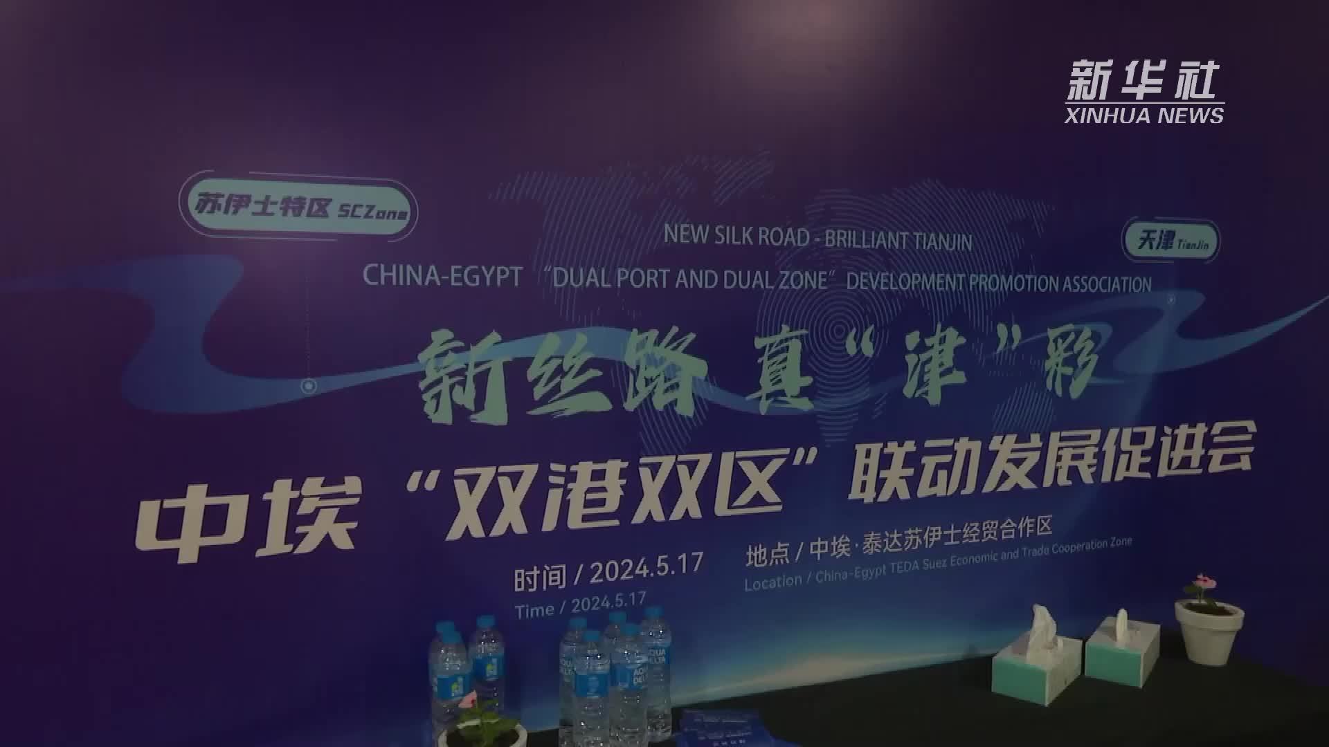 中埃“双港双区”联动发展促进会在埃及举办