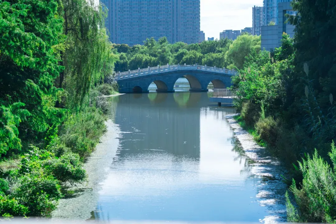 隐居串场河畔,过向往的生活~凤凰网江苏_凤凰网