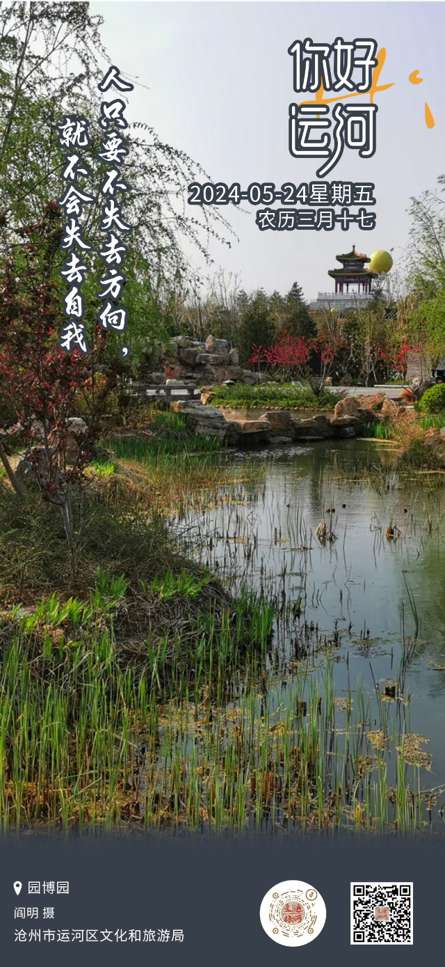 你好,运河(237):不要失去方向