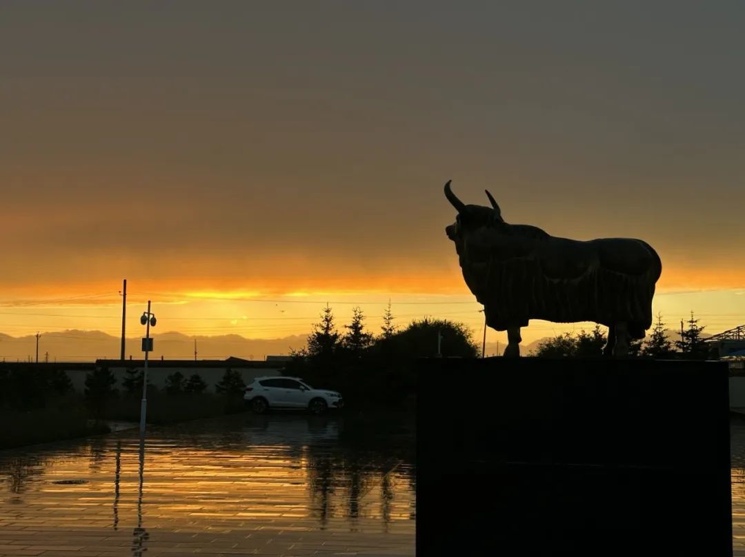 青海海北高寒草地生态系统国家野外科学观测研究站站内