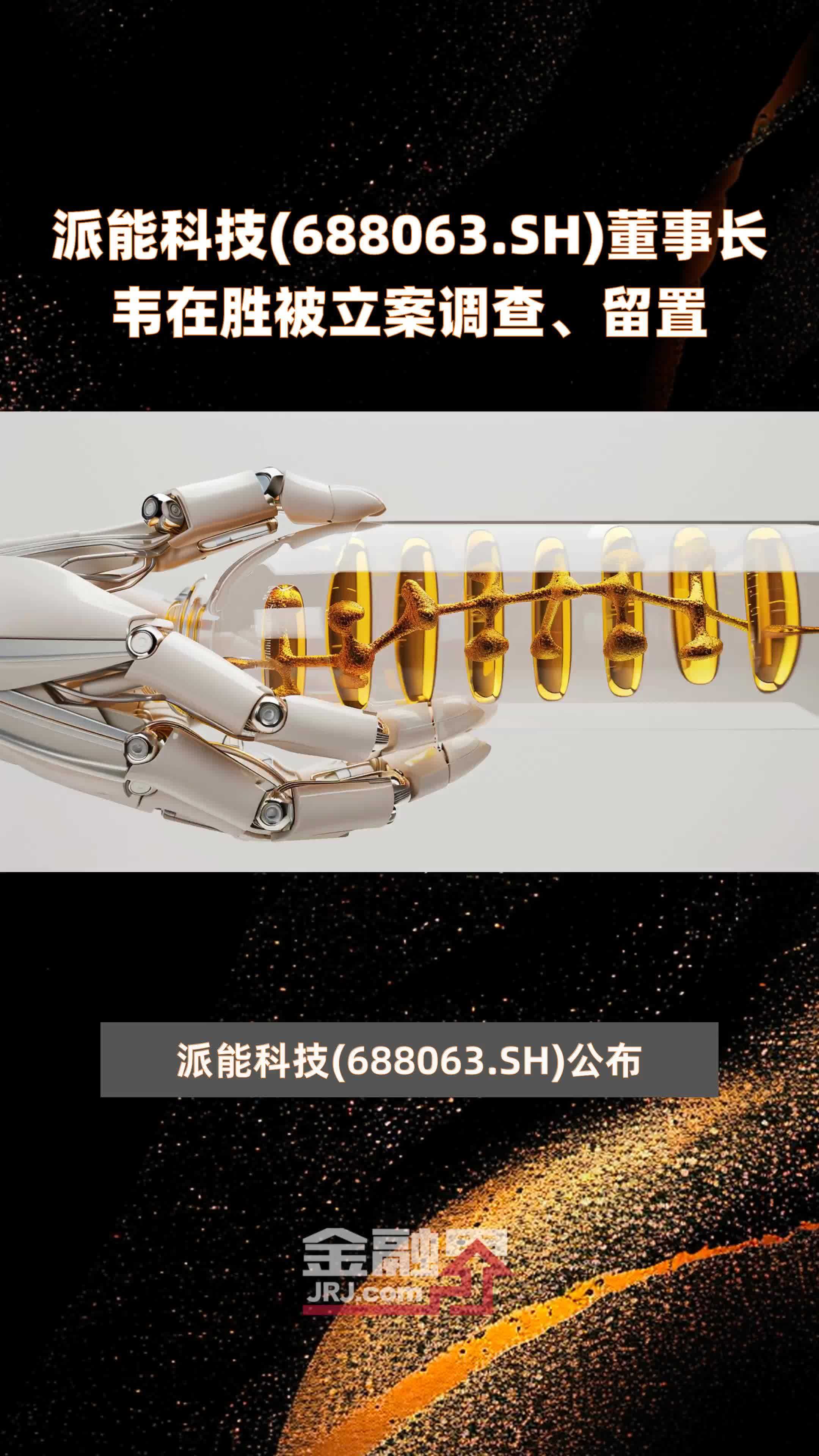 派能科技(688063.SH)董事长韦在胜被立案调查、留置 |快报