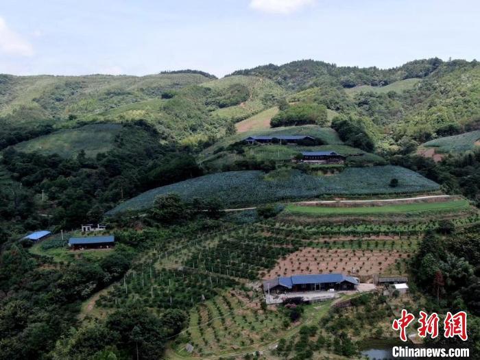 大松坡村是中国南方葡萄沟核心景区所在地，也是“湘珍珠”葡萄核心产地。　　怀化市委宣传部 供图